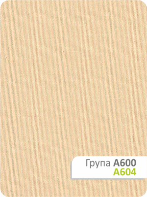Рулонна штора Каміла A 604 50х165см